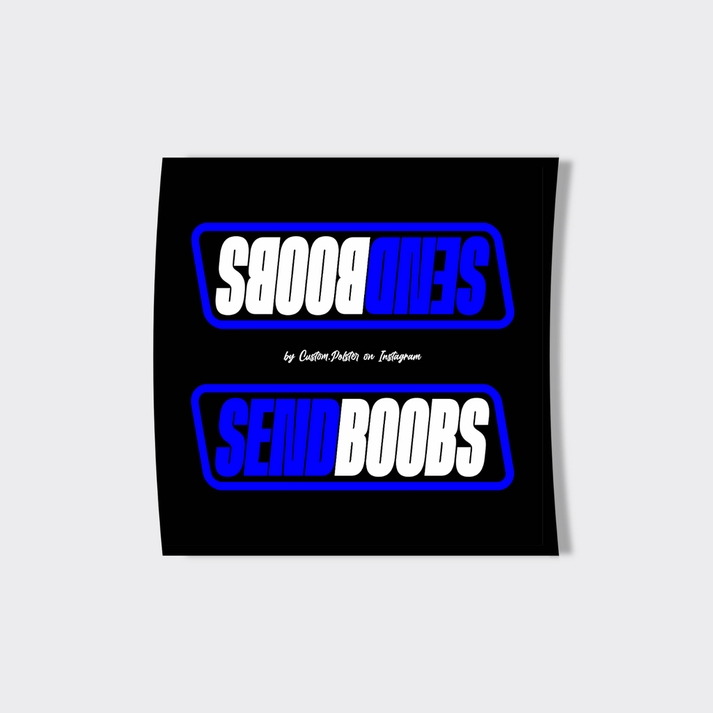 LENKERPOLSTER – SEND BOOBS